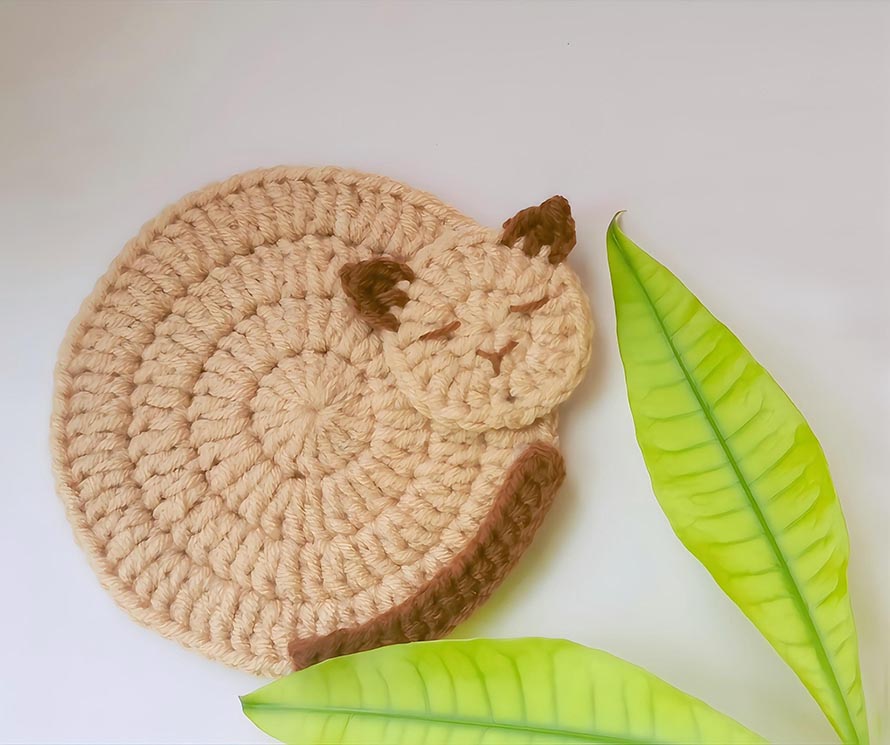 Crochet Cat Coaster Pattern Ideas for Table Décor 4