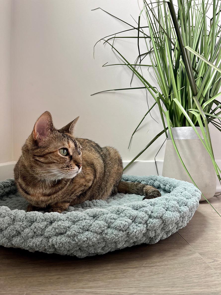 Cat Bed Crochet Pattern Ideas for Cozy Pet Projects 2