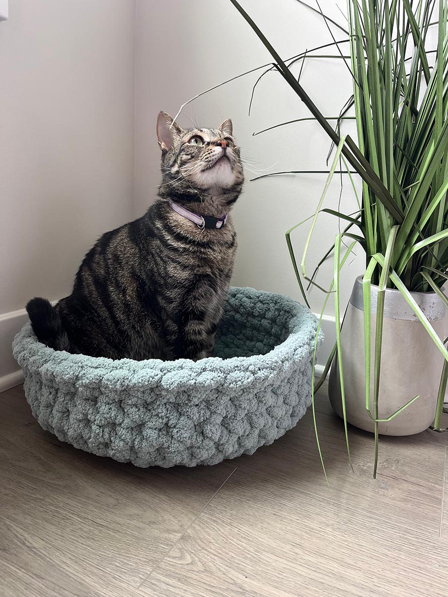 Cat Bed Crochet Pattern Ideas for Cozy Pet Projects 3