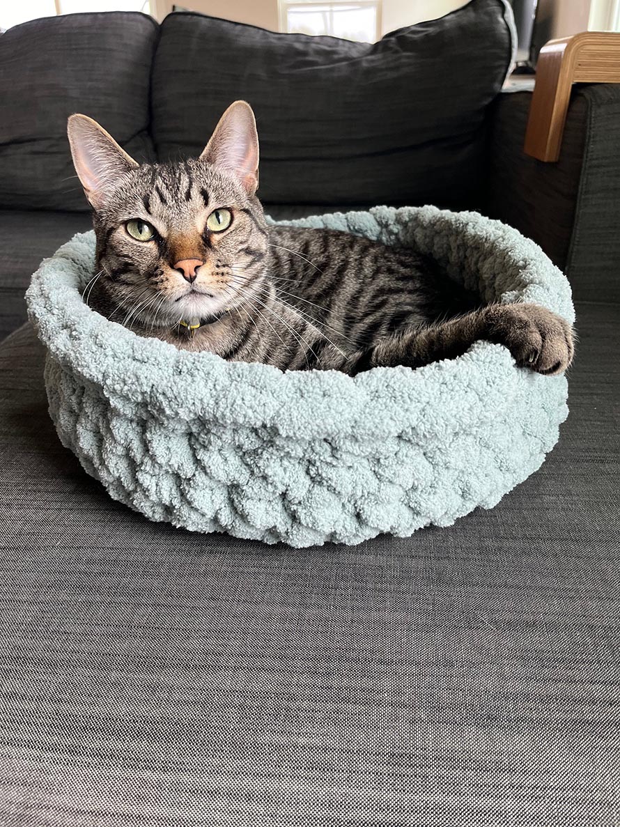 Cat Bed Crochet Pattern Ideas for Cozy Pet Projects 4