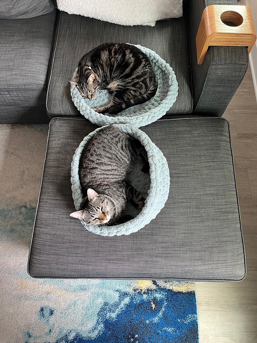 Cat Bed Crochet Pattern Ideas for Cozy Pet Projects 6
