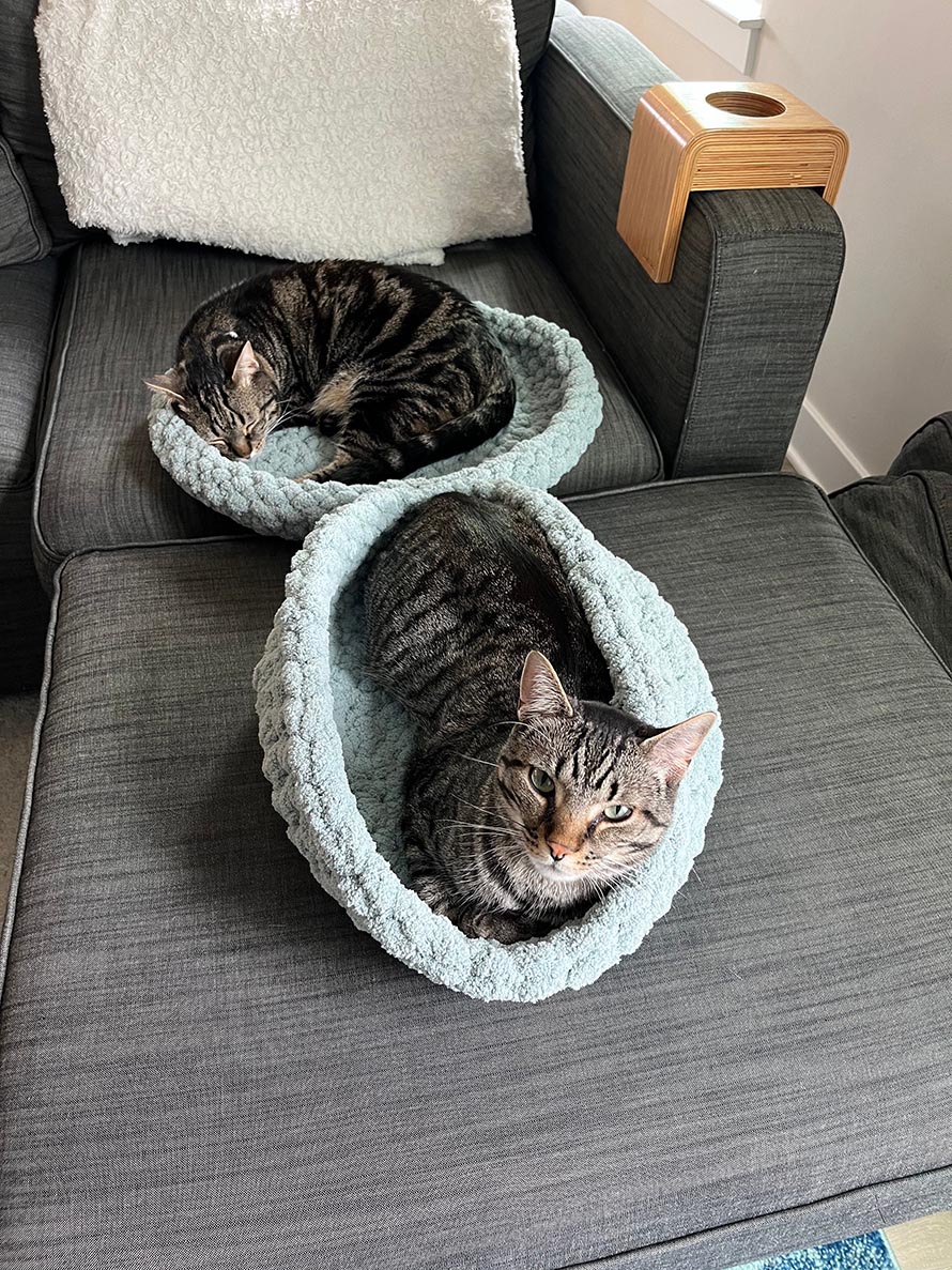 Cat Bed Crochet Pattern Ideas for Cozy Pet Projects 7