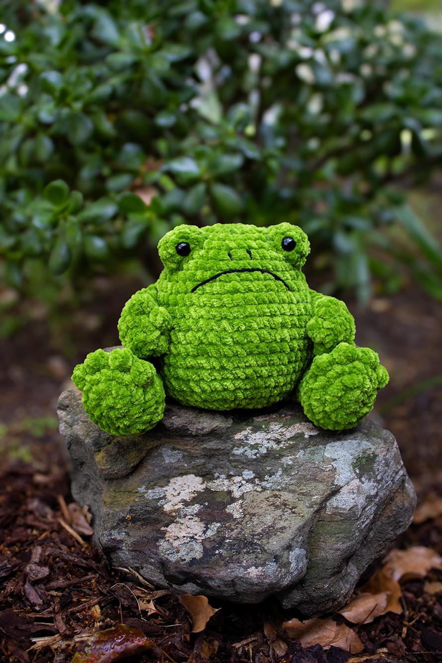 Grumpy Frog Crochet Pattern Designs with Serious Character 8