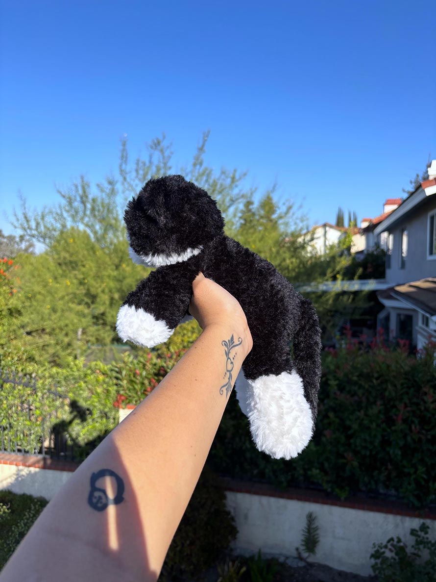 Crochet Cat Doll Pattern Ideas for Creative Amigurumi 4