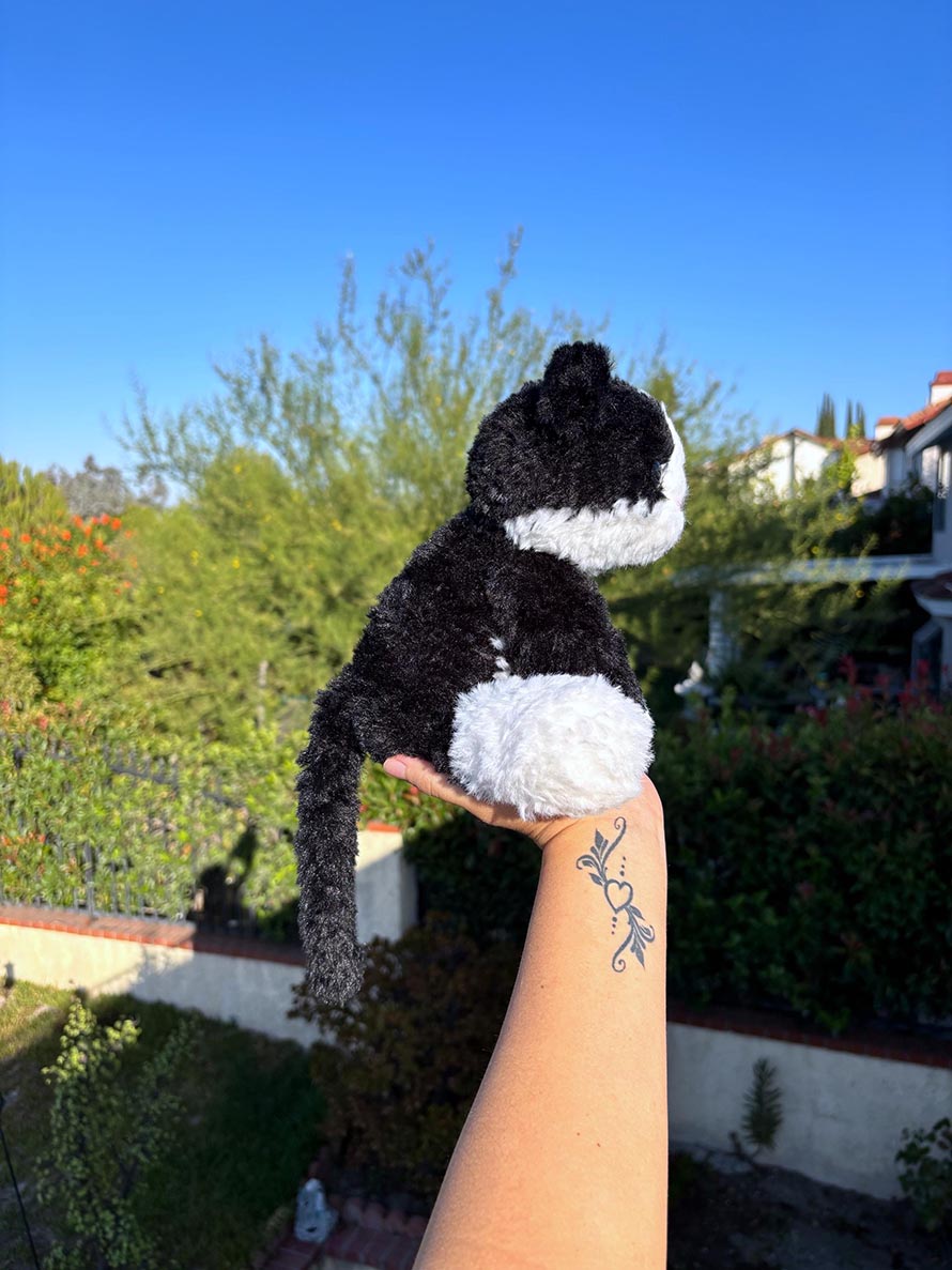 Crochet Cat Doll Pattern Ideas for Creative Amigurumi 5