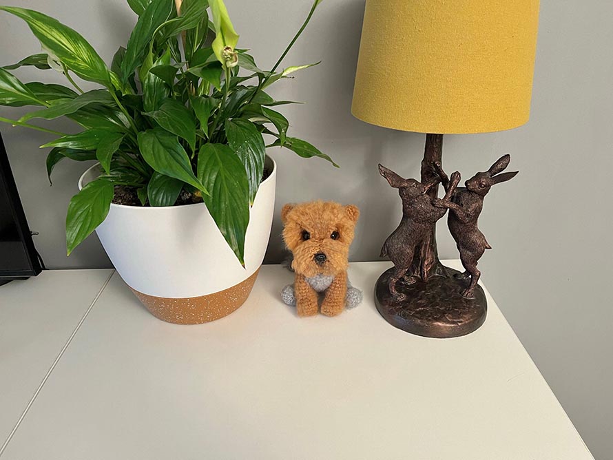 Crochet Yorkie Dog Pattern Ideas for Yorkie Lovers 6